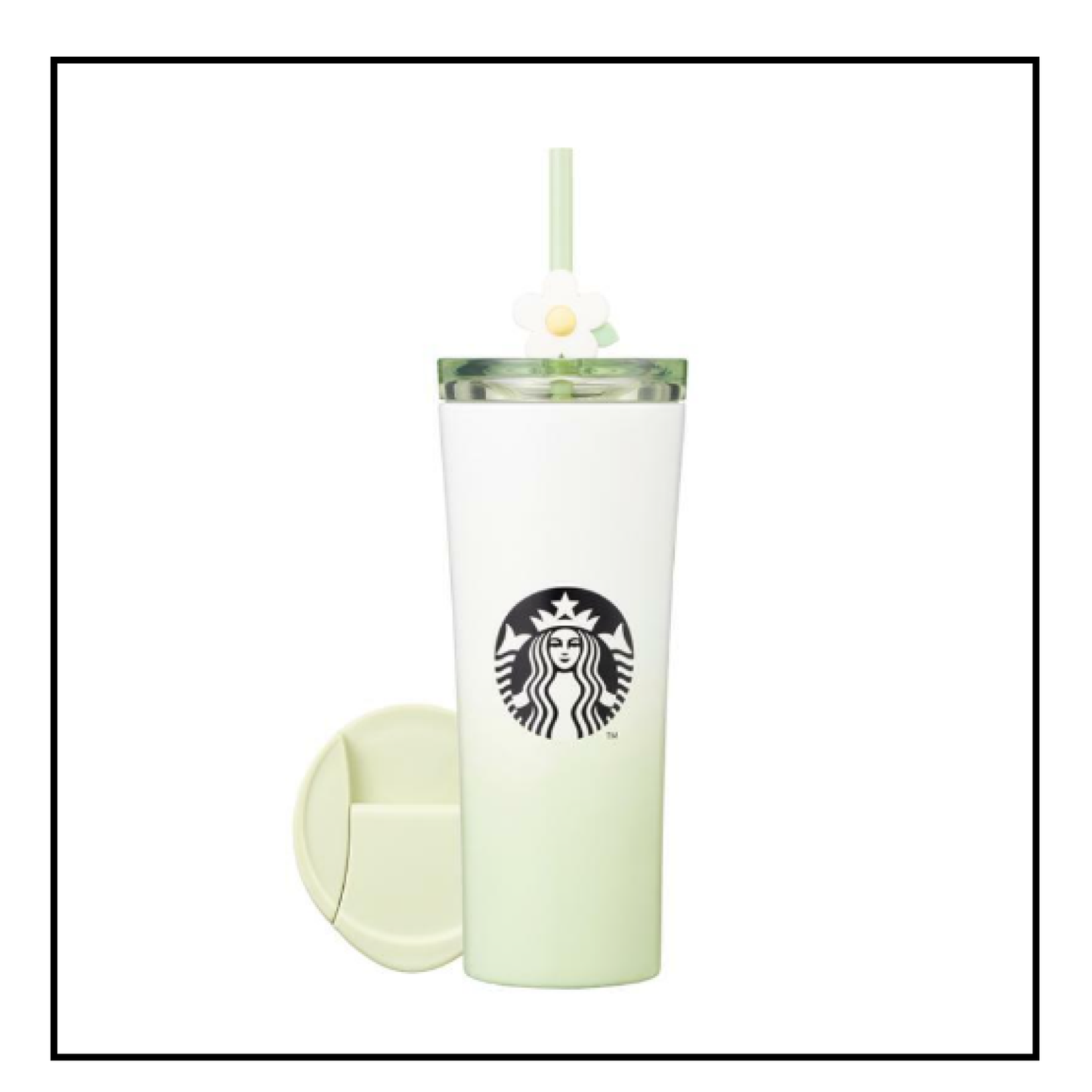Starbucks Korea 2024 * Spring Edition MD Promotion SS Delight set