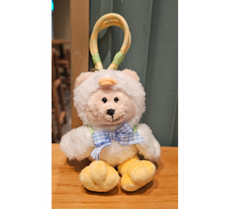 Starbucks Korea 2024 * Delight Bearista Keychain Spring Promotion