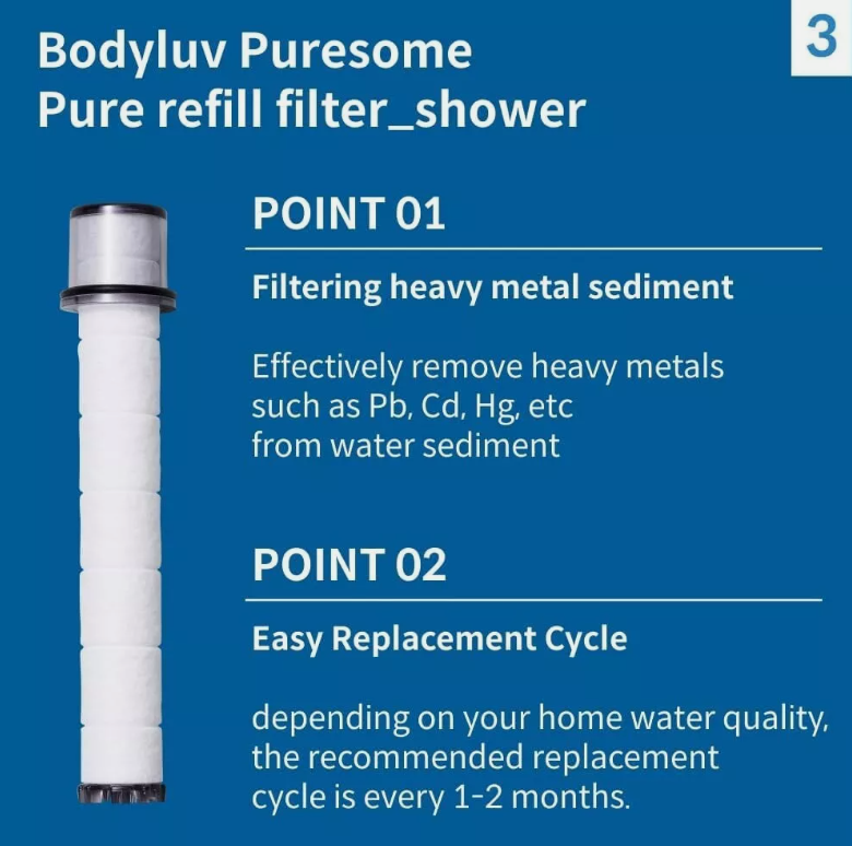 Bodyluv Puresome Shower Head + Pure Filter 1ea Replacement Cartridge