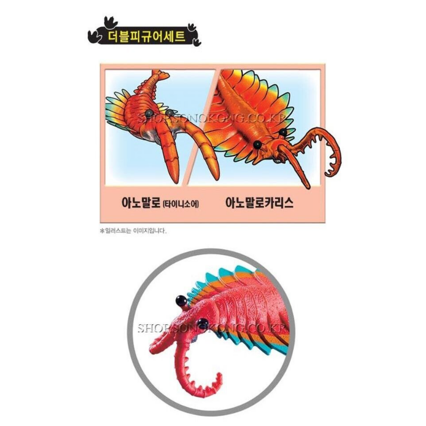 Dino Mecard Double Figure ANOMALOCARIS ANOMALO Dinosaur Tinysaur Set Sonokong