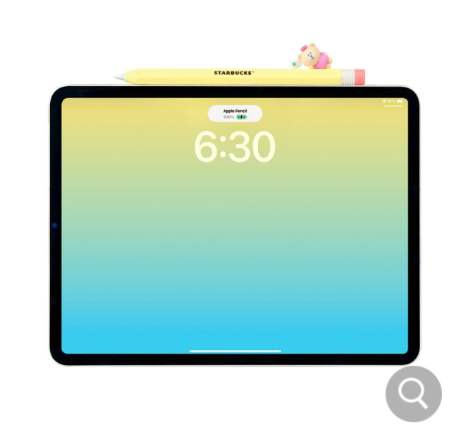 Starbucks Korea 2025 Campus Bearista Pencil Case