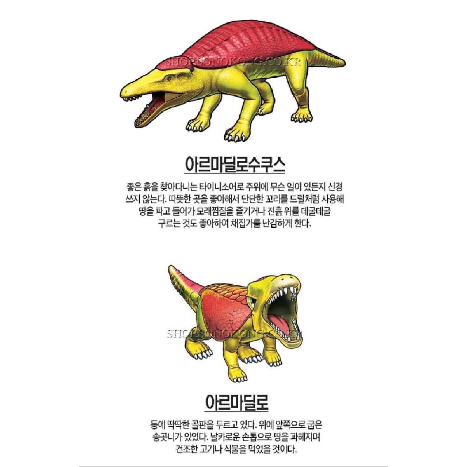 Dino Mecard Double Figure ARMADILLOSUCHUS ARMADILLO Dinosaur Tinysaur Set
