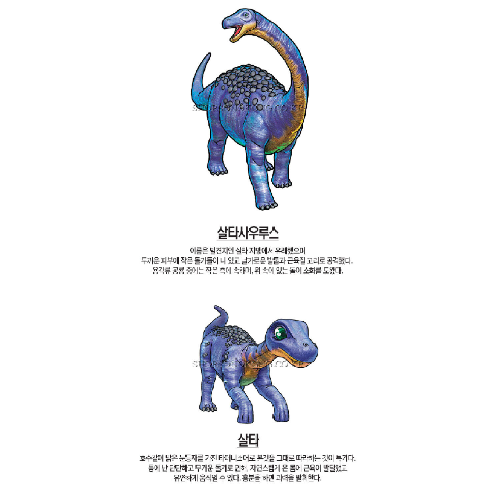 Dino Mecard Double Figure SALTASAURUS SALTA Dinosaur Tinysaur Set Sonokong