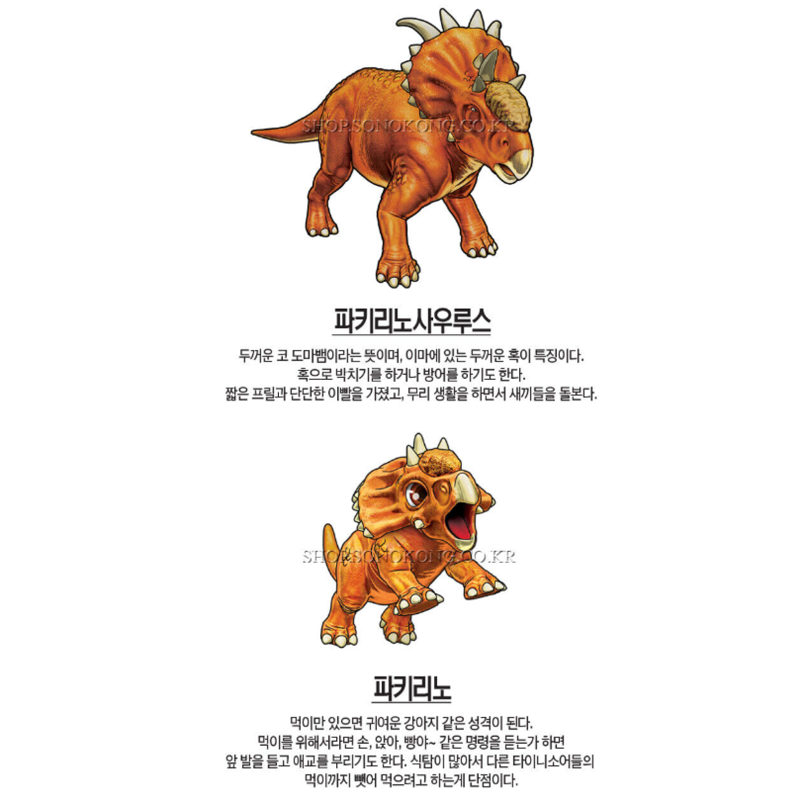 Dino Mecard Double Figure PACHYRINOSAURUS PACHYRINO Dinosaur Tinysaur Sonokong